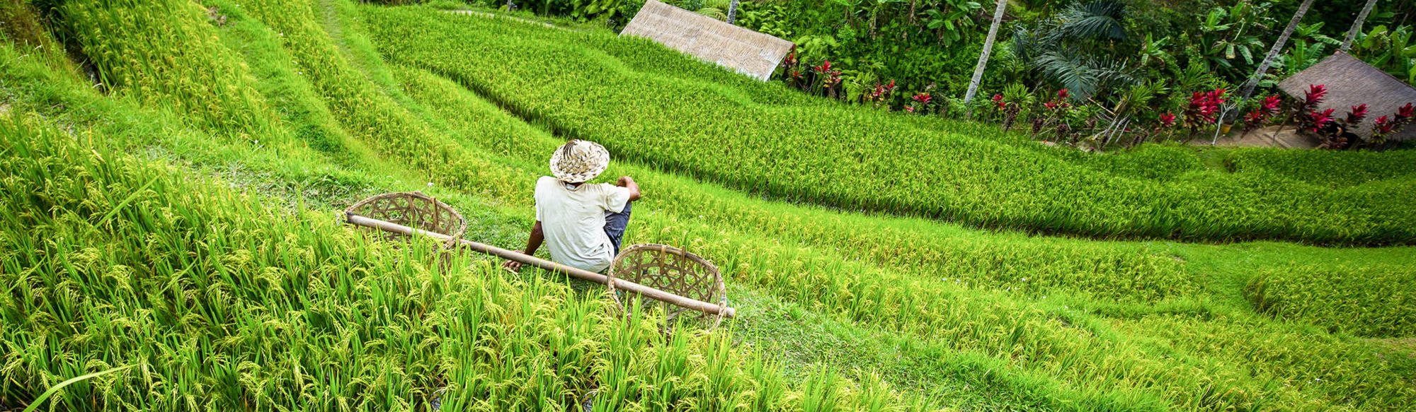 expat online dating Thailand
