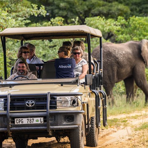 sydafrika safari resa